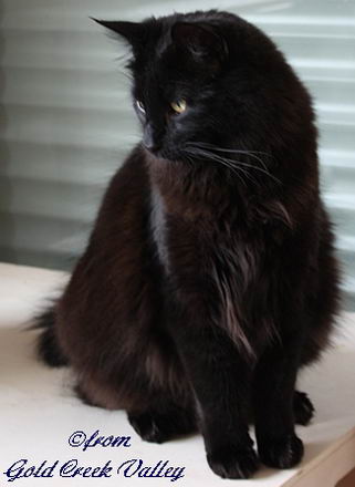 copyright: Karin Ortiz