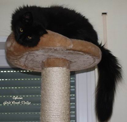 copyright: Karin Ortiz