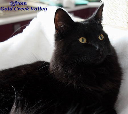 copyright: Karin Ortiz