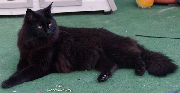 copyright: Karin Ortiz