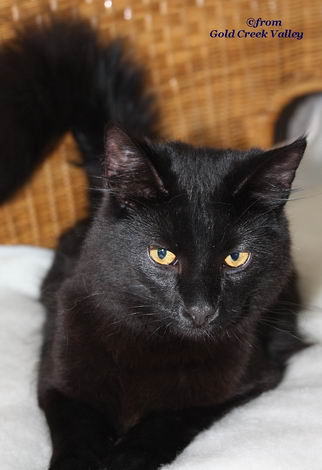 copyright: Karin Ortiz