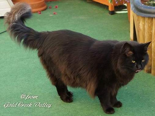 copyright: Karin Ortiz