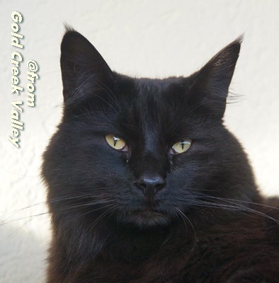 copyright: Karin Ortiz