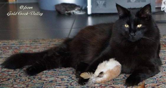 copyright: Karin Ortiz