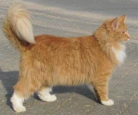 copyright: Fam. Schwickert