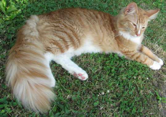 copyright: Fam. Schwickert