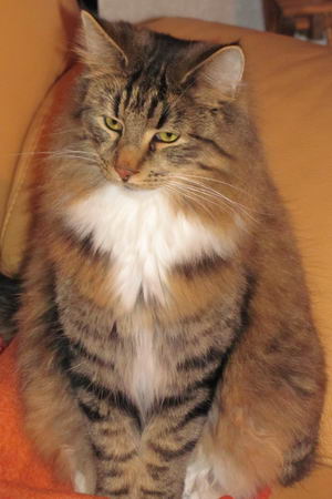 copyright: Fam. Schwickert