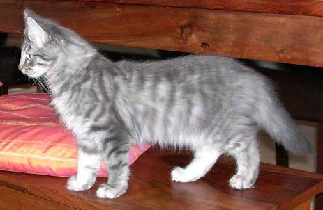 copyright: Familie Hofmann-Sachs