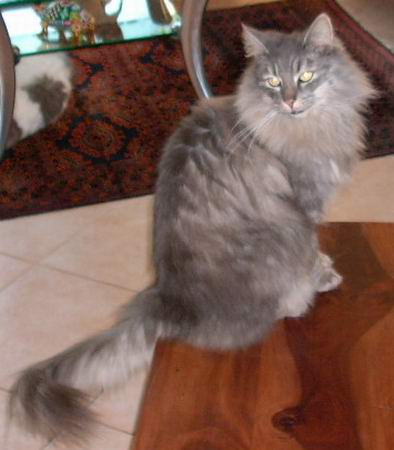 copyright: Familie Hofmann-Sachs