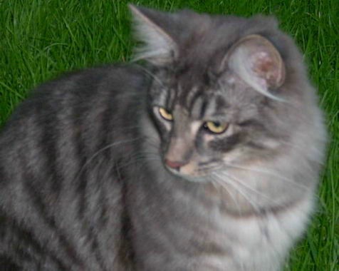 copyright: Familie Hofmann-Sachs