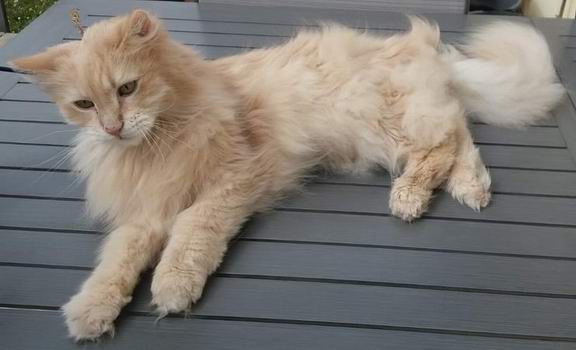 copyright: Sylvie & Marco