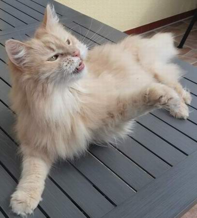 copyright: Sylvie & Marco