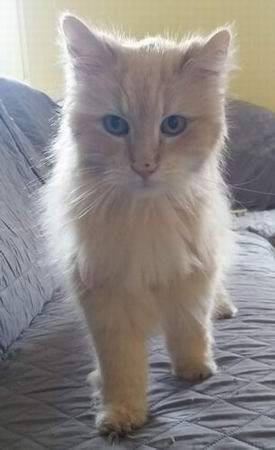 copyright: Sylvie & Marco