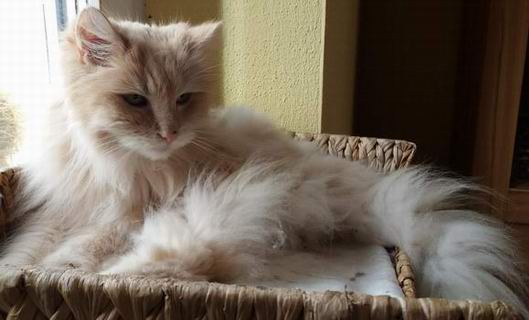 copyright: Sylvie & Marco