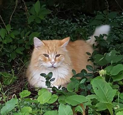 copyright: Familie Schmidt