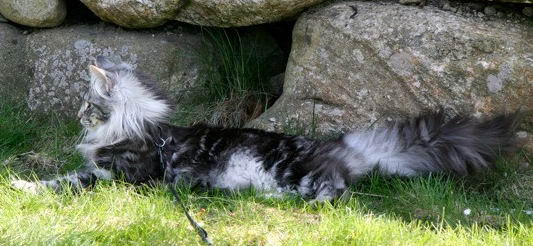 copyright: Merete Hognestad