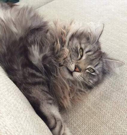 copyright: Merete Hognestad