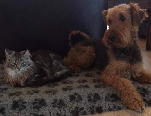 copyright: Merete Hognestad