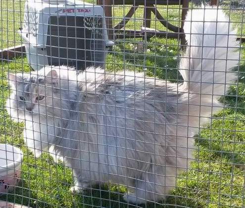 copyright: Eva Felder