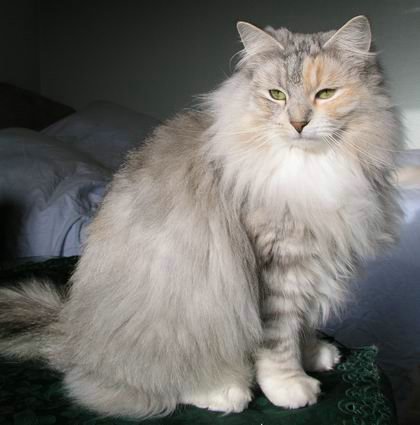 copyright: Eva Felder