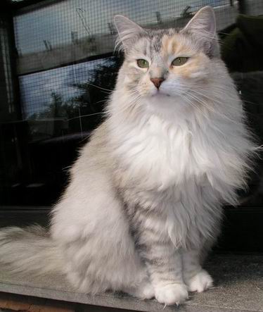 copyright: Eva Felder