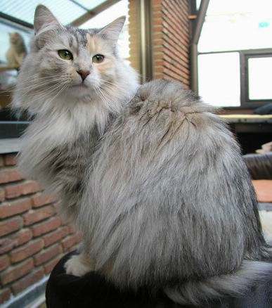 copyright: Eva Felder