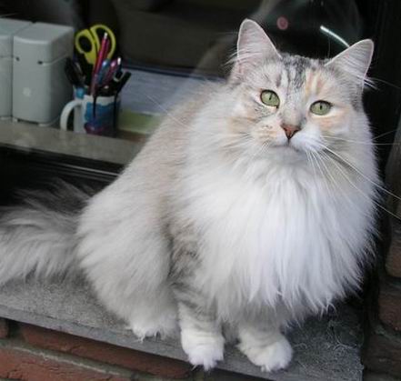 copyright: Eva Felder