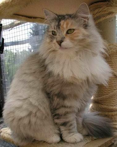 copyright: Eva Felder