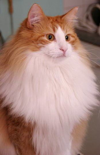 copyright: Sabine + Carsten