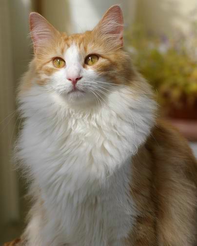 copyright: Sabine + Carsten