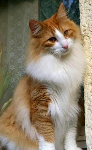 copyright: Sabine + Carsten