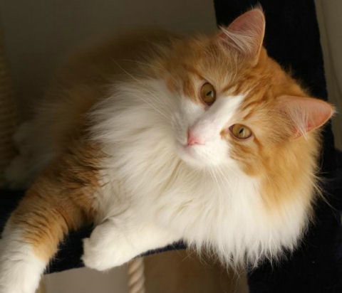 copyright: Sabine + Carsten