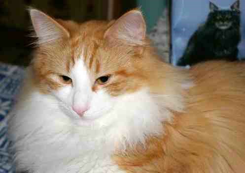 copyright: Sabine + Carsten