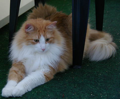 copyright: Sabine + Carsten