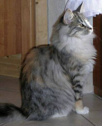 copyright: Isabelle Vuilleumier