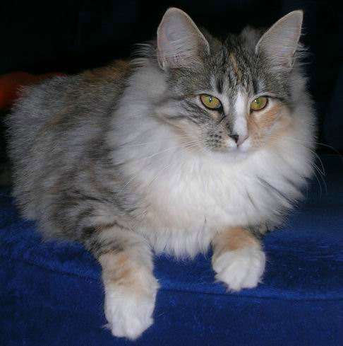 copyright: Isabelle Vuilleumier