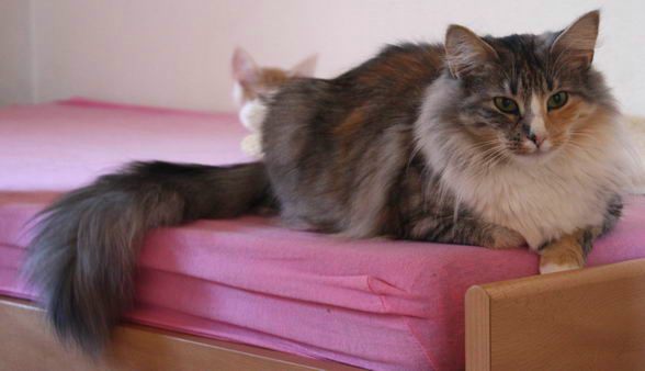 copyright: Isabelle Vuilleumier