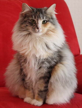 copyright: Isabelle Vuilleumier