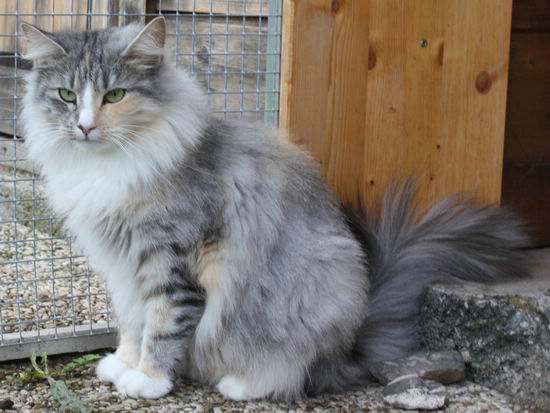 copyright: Isabelle Vuilleumier