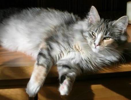 copyright: Isabelle Vuilleumier