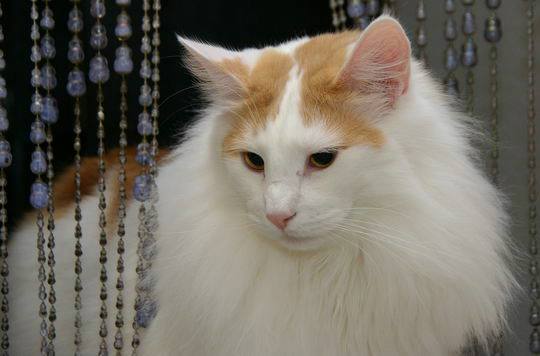 copyright: Sabine + Carsten