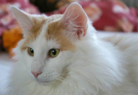 copyright: Sabine + Carsten