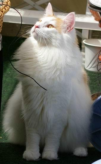 copyright: Sabine + Carsten