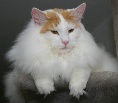 copyright: Sabine + Carsten