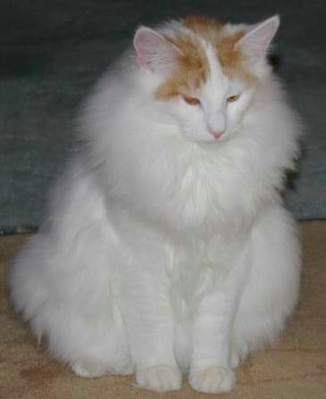 copyright: Sabine + Carsten