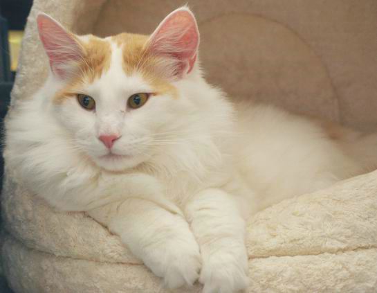 copyright: Sabine + Carsten