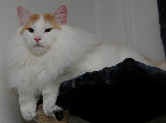 copyright: Sabine + Carsten