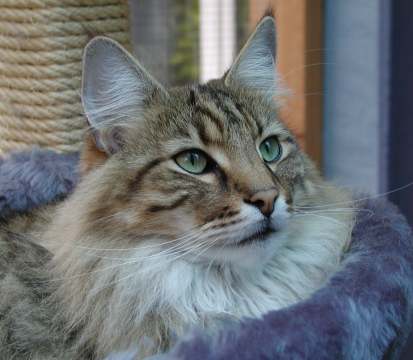 copyright: Stefan Giehr