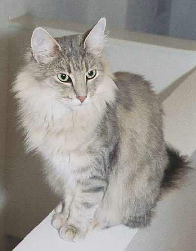 copyright: Ramona Brinkmann