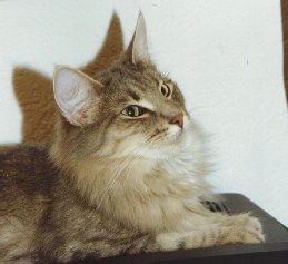 copyright: Ramona Brinkmann